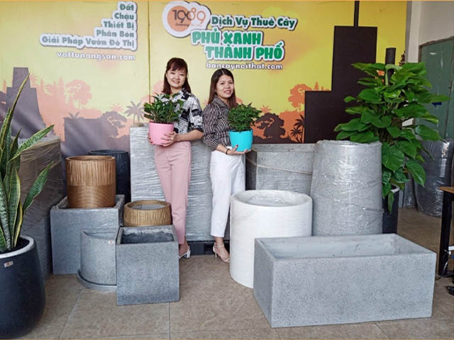 chau xi mang da mai tron lon