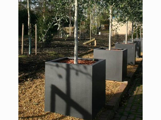 chậu trồng cây lớn hcm