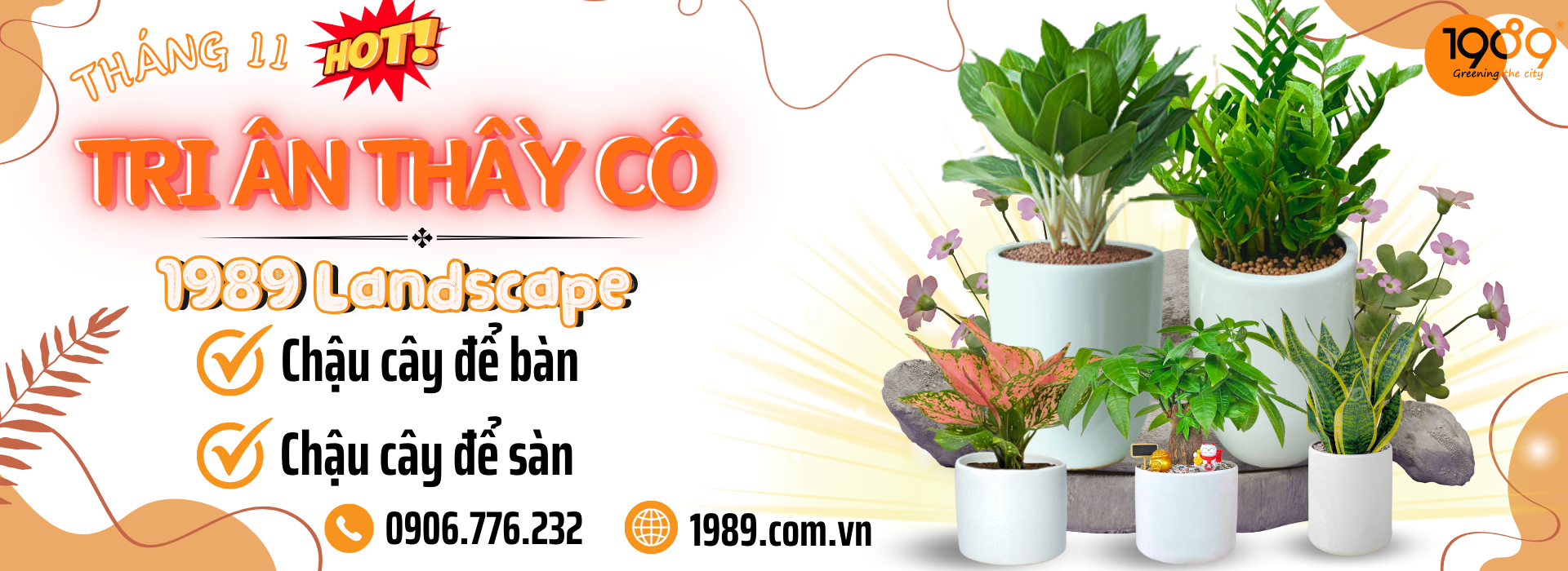 cây tằng 20-11