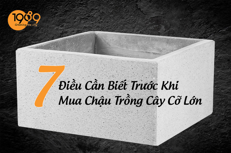 banner chậu trồng cây cỡ lớn chậu chữ nhật màu trắng xám