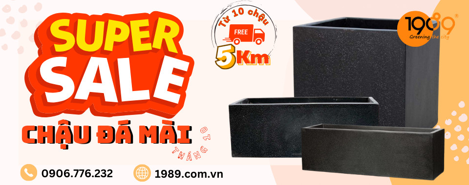 chậu đá mài chữ nhậ