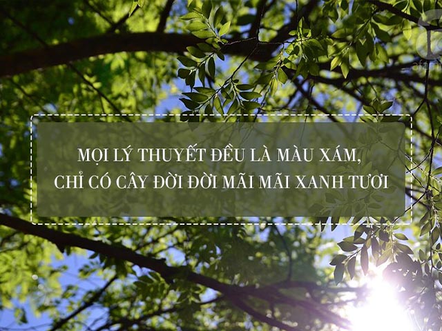 câu nói hay về thiên nhiên