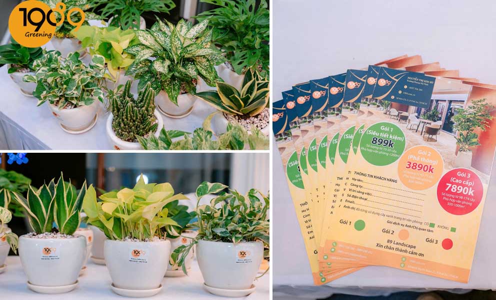 1989 LANDSCAPE ĐỒNG HÀNH CÙNG SỰ KIỆN GIAO THƯƠNG RA MẮT BAN CHẤP HÀNH LÂM THỜI CHI HỘI 12 HDNSG