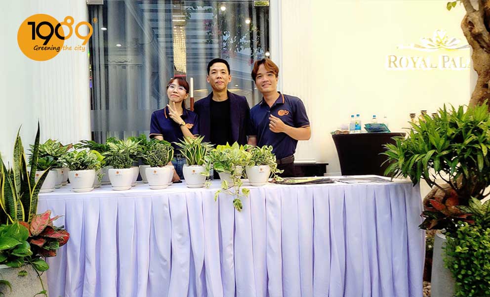 1989 LANDSCAPE ĐỒNG HÀNH CÙNG SỰ KIỆN GIAO THƯƠNG RA MẮT BAN CHẤP HÀNH LÂM THỜI CHI HỘI 12 HDNSG