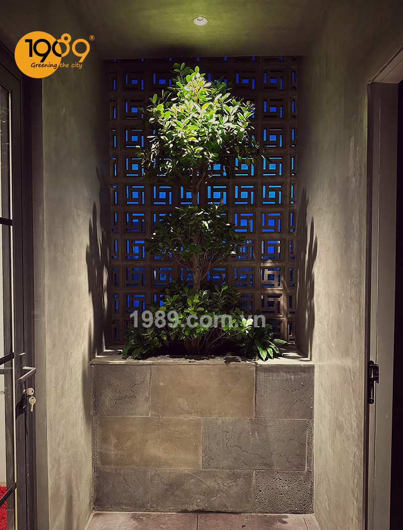 1989 thi cong canh quan xanh cua can ho vai chuc ty tai dong nai 12