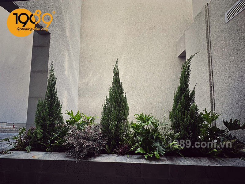 1989 thi cong canh quan xanh cua can ho vai chuc ty tai dong nai 12