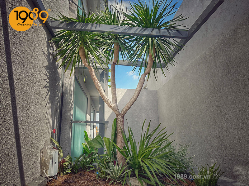 1989 thi cong canh quan xanh cua can ho vai chuc ty tai dong nai 12