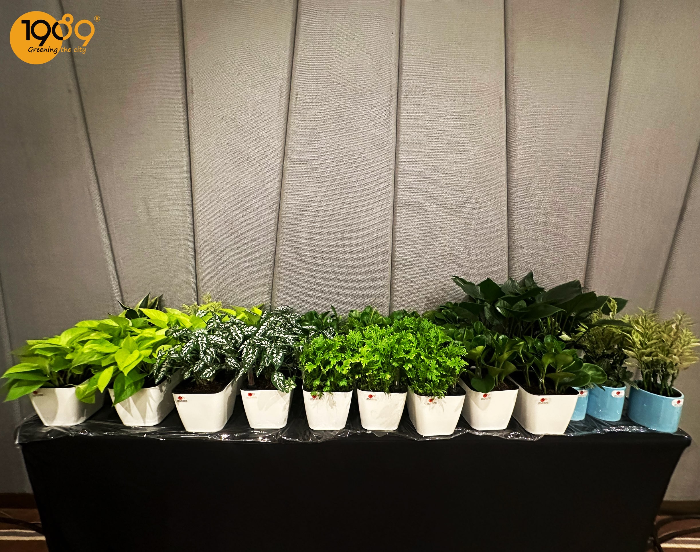 1989JSC - Trang Trí Cảnh Quan Tại Sự Kiện Họp Báo Chính Thức Công Bố Miss Earth Việt Nam 2023