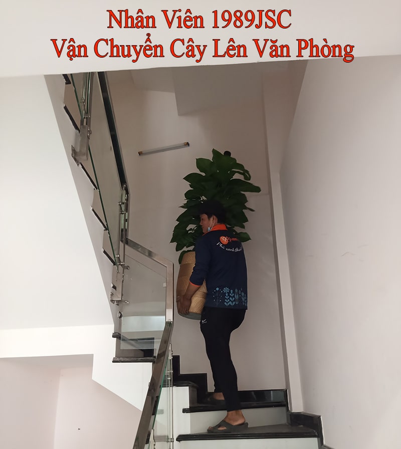 1989jsc vận chuyên cây xanh