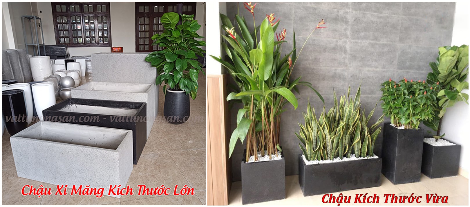 Chậu xi măng đá mài Chữ Nhật 1989