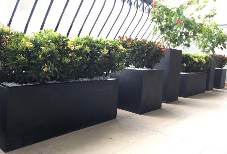 Chậu xi măng đá mài Chữ Nhật 1989