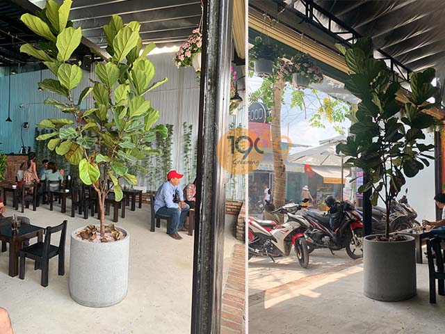 phù hợp mọi loại cây