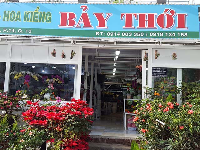 7 Địa chỉ bán đất trồng cây - trồng rau ở quận 10 7 thới.jpg