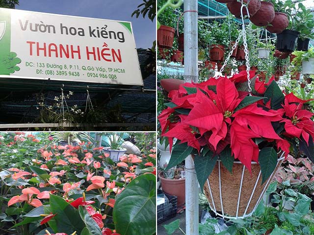 9 Nơi mua bán đất trồng cây - trồng rau ở quận Gò Vấp TPHCM thanh hiền