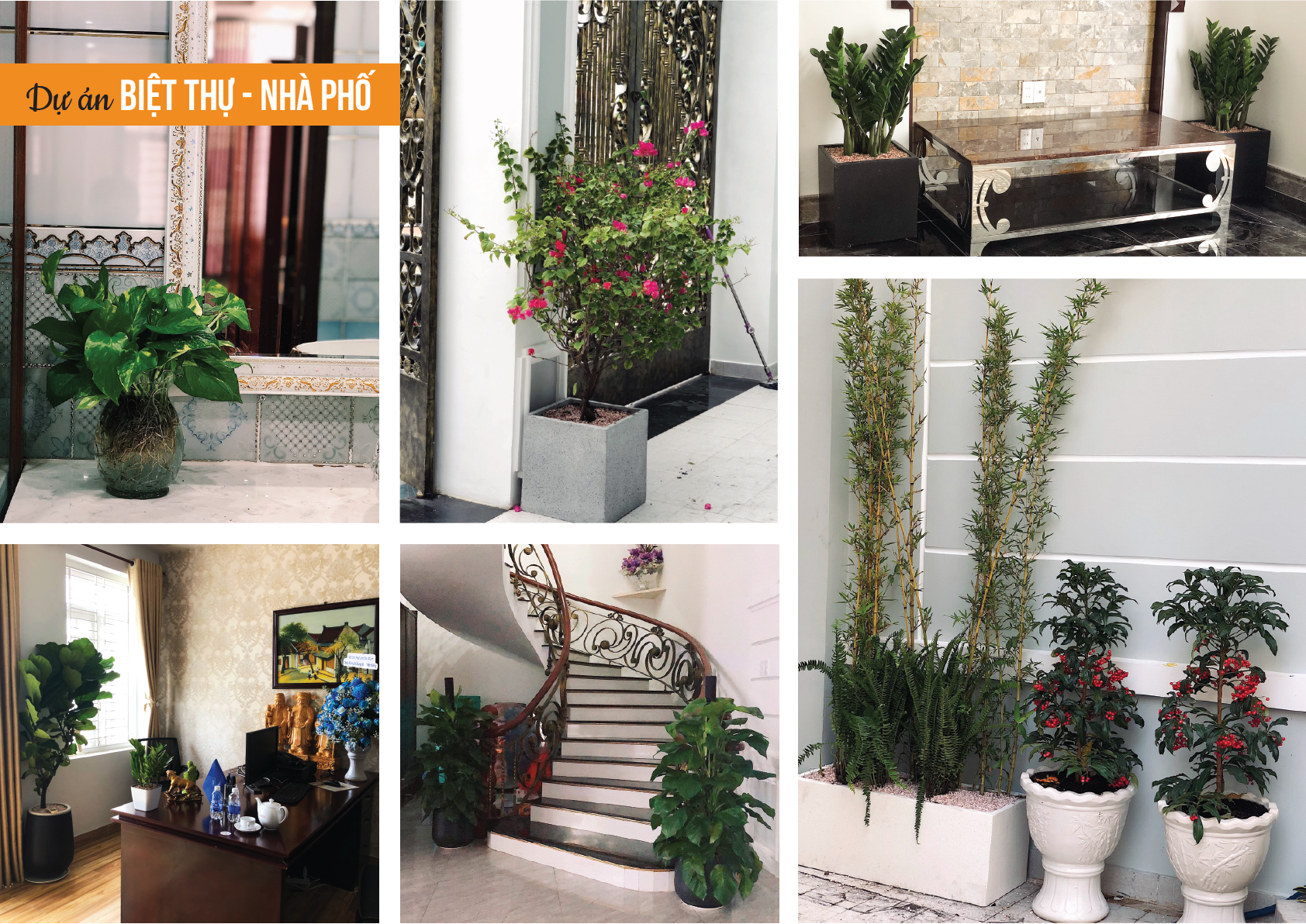 dịch vụ cho thuê cây cảnh hcm