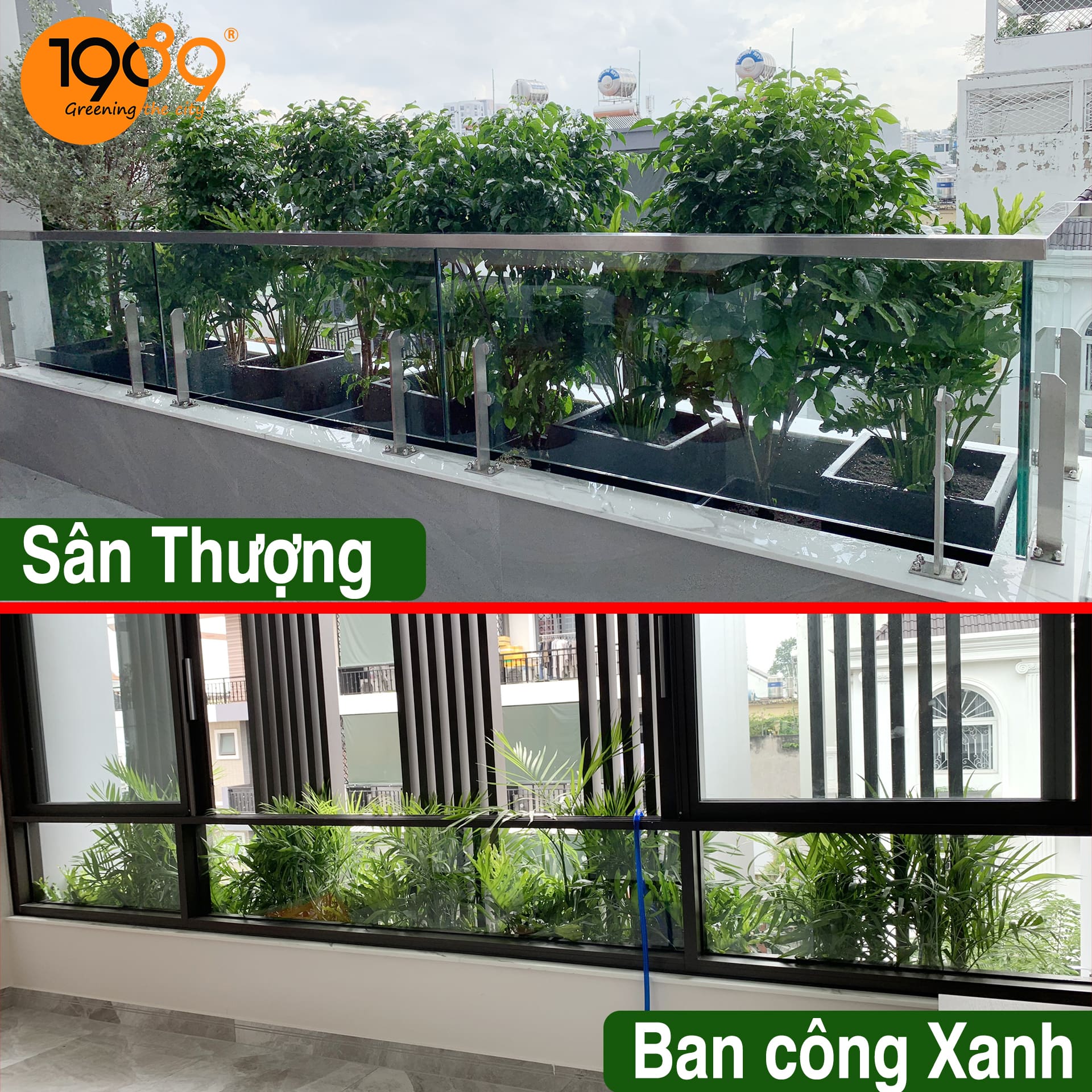Thiết Kế Ban Công Xanh Từ Cải Tạo Tối Ưu Đến Trồng Mới