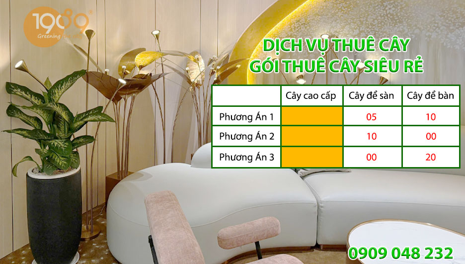 Gói Thuê Cây Siêu Tiết Kiệm (899k/tháng)