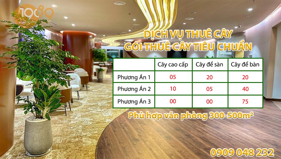 Gói Thuê Cây Tiêu Chuẩn (3890k/tháng)