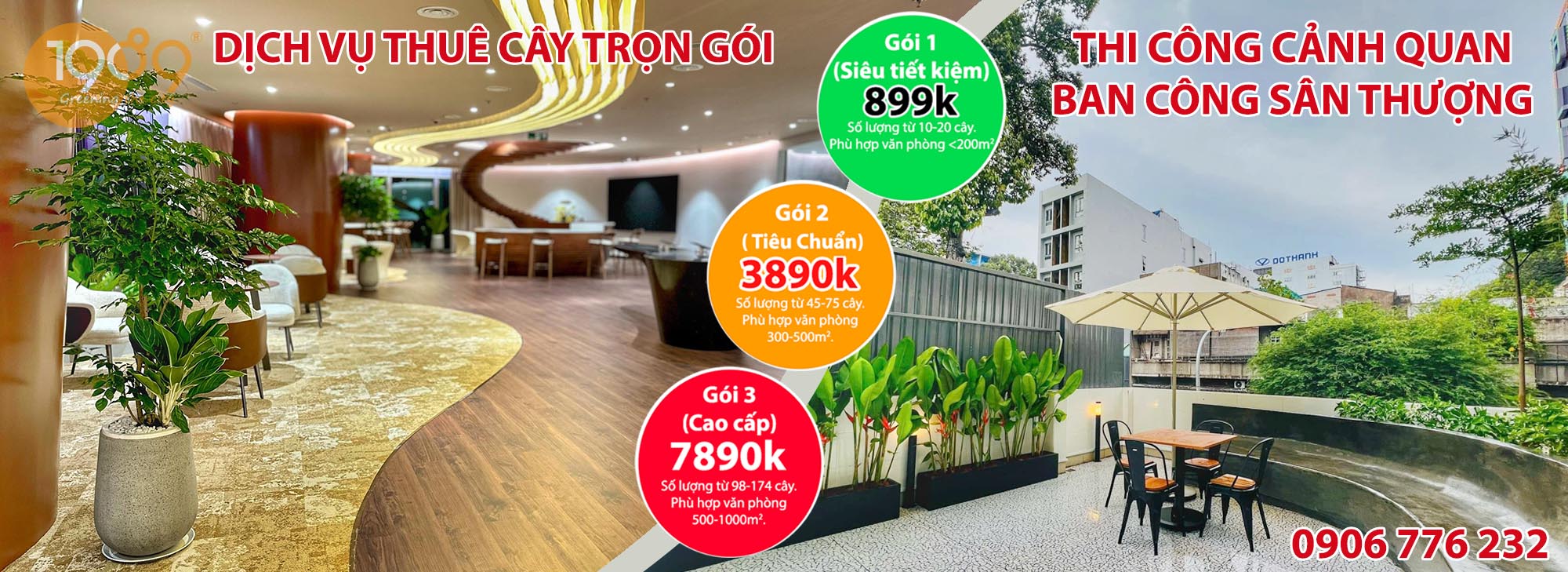 DỊCH VỤ CHO THUÊ CÂY XANH VĂN PHÒNG TRỌN GÓI-min