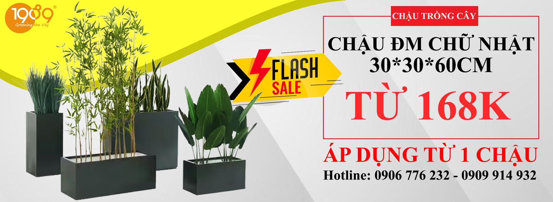 TOP 5+ MẪU CHẬU TRỒNG CÂY BAN CÔNG ĐẸP, BỀN NHẤT 2025 – GIÁ TỐT TỪ 1989