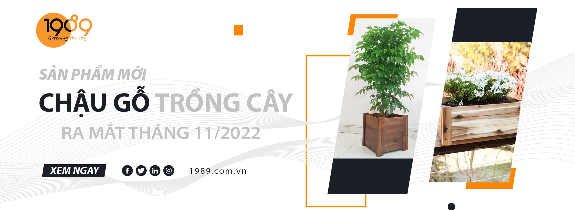 Top Những Mẫu Chậu Gỗ Trồng Cây - Trồng Hoa Được Yêu Thích 