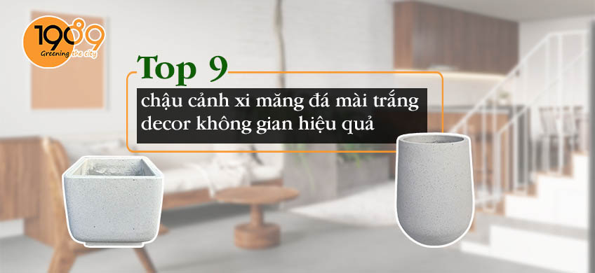 banner chậu xi măng đá mài màu trắng