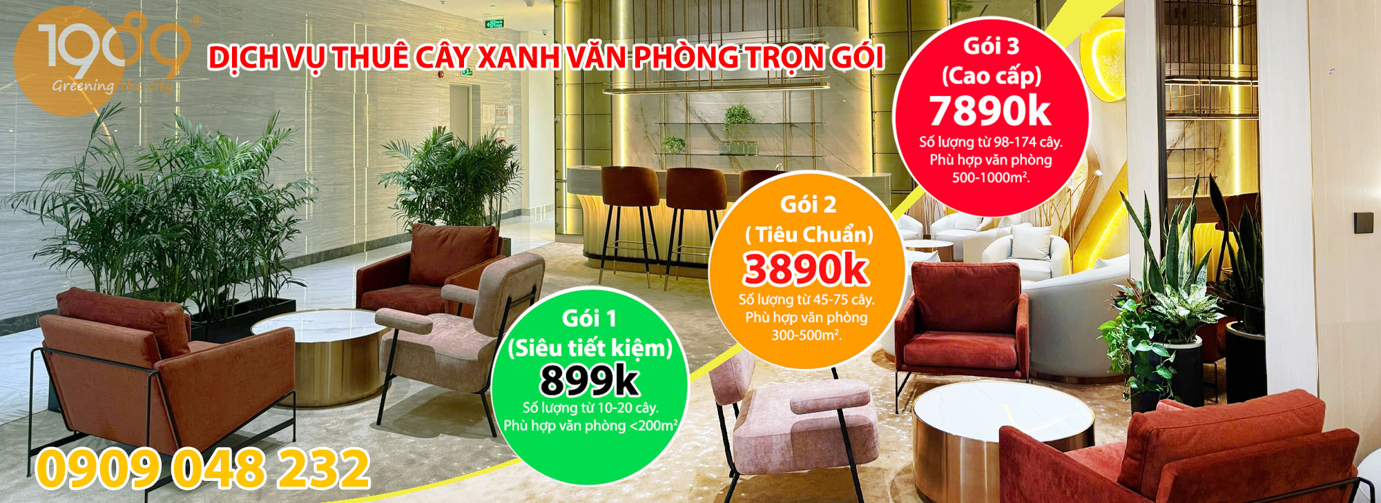 DỊCH VỤ THUÊ CÂY NỘI THẤT VĂN PHÒNG TRỌN GÓI