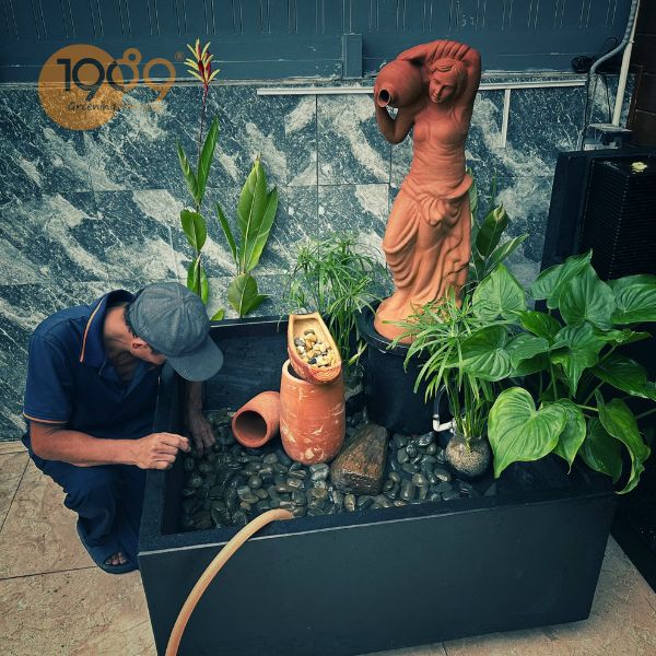 bể nuôi cá vàng