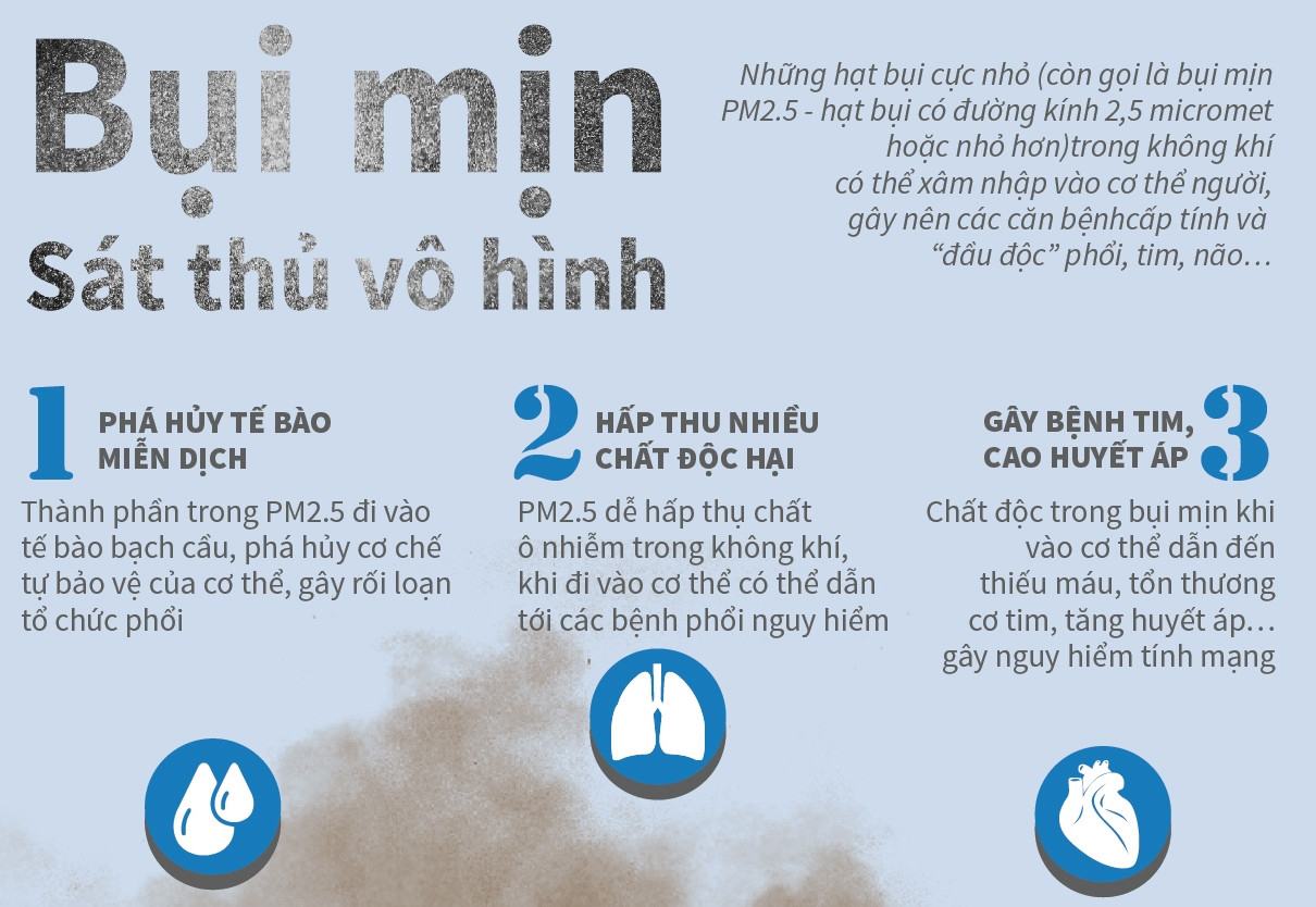 Top 10 Cây Để Sàn Lọc Khí: Trang Trí Đẹp, Làm Sạch Không Gian, Dễ Chăm Sóc
