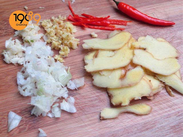 cách chế thảo mộc trị sâu bệnh