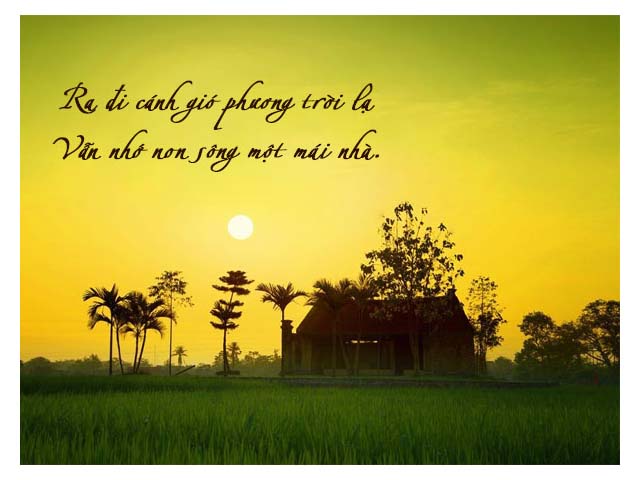 cách làm đất trồng rau trên sân thượng câu nói