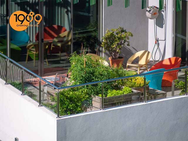 cách làm đất trồng rau trên sân thượng - đất trồng rau sạch tại nhà hcm