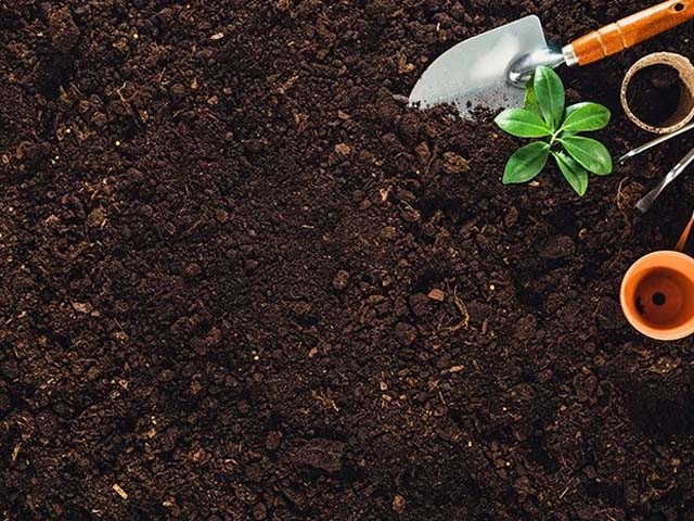 cách làm đất trồng rau trên sân thượng sạch sẽ