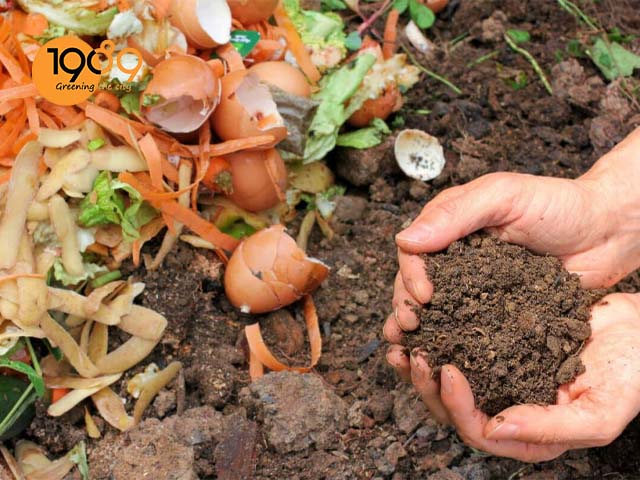 cách ủ phân rác bếp hữu cơ - đất trồng rau trên sân thượng