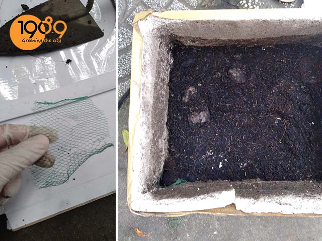 cách ủ rác bếp dạng khô tại nhà