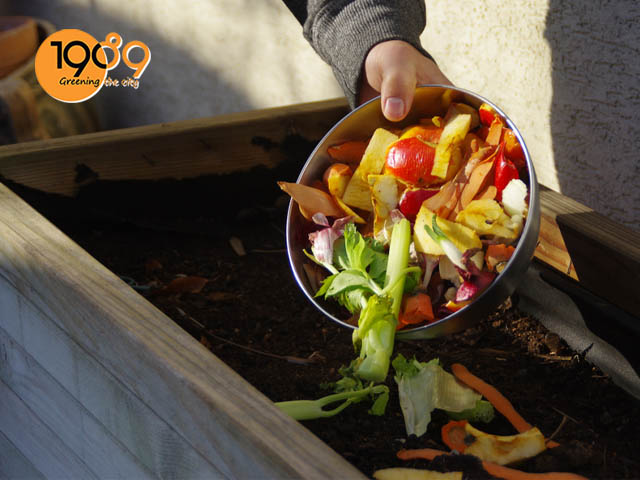 cải tạo phân rác bếp làm đất trồng rau sạch tại nhà