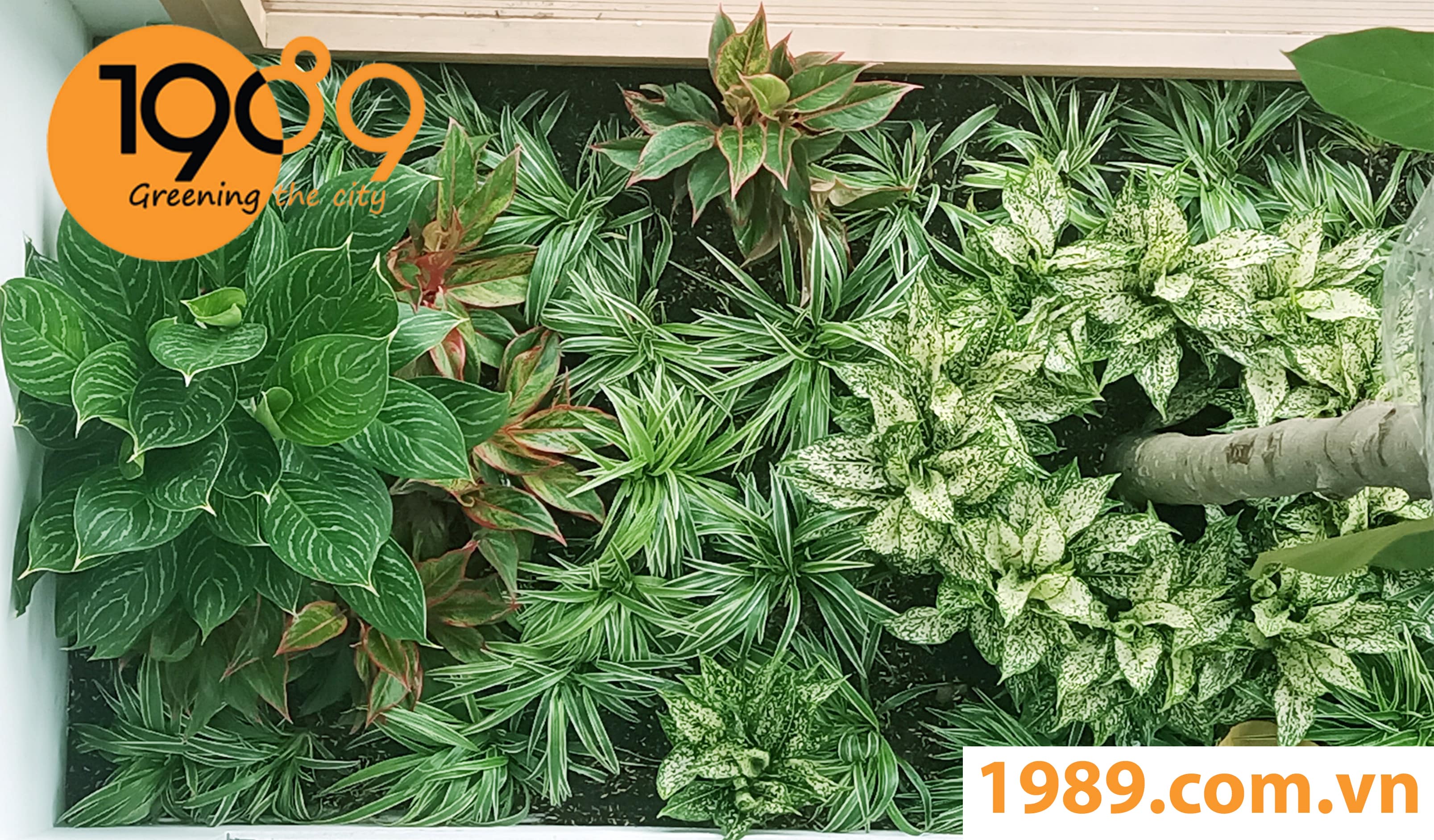 Thi Công Công Trình Cảnh Quan Tại Quận 12