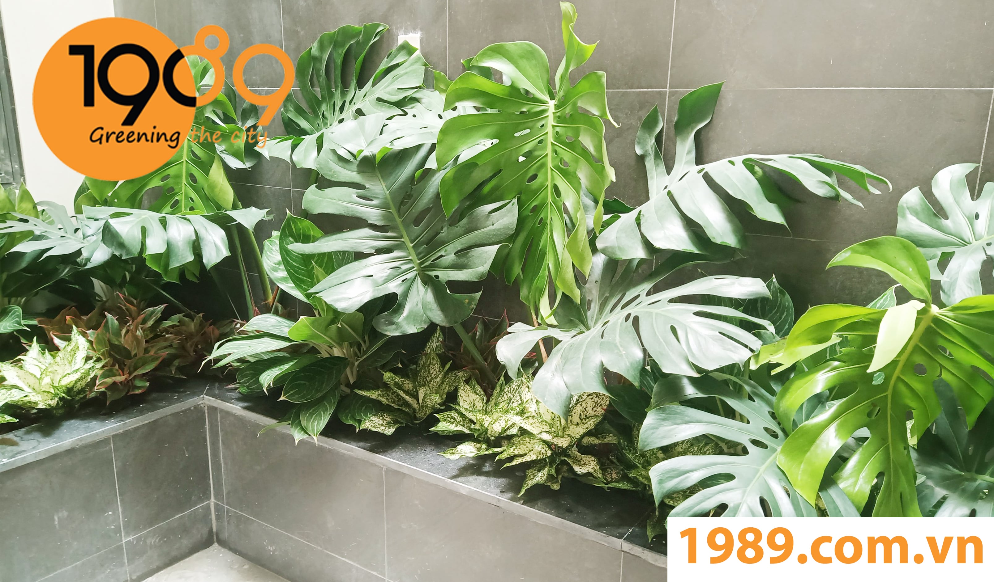 Thi Công Công Trình Cảnh Quan Tại Quận 12