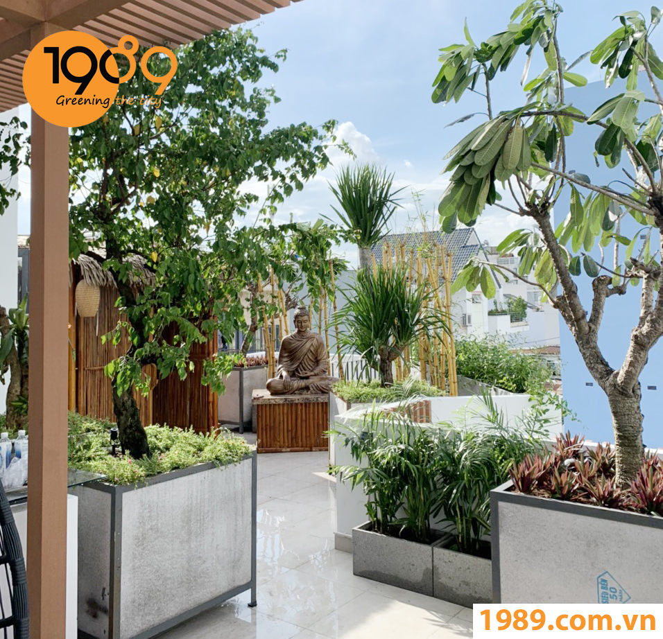 Thiết Kế Ban Công Xanh Từ Cải Tạo Tối Ưu Đến Trồng Mới