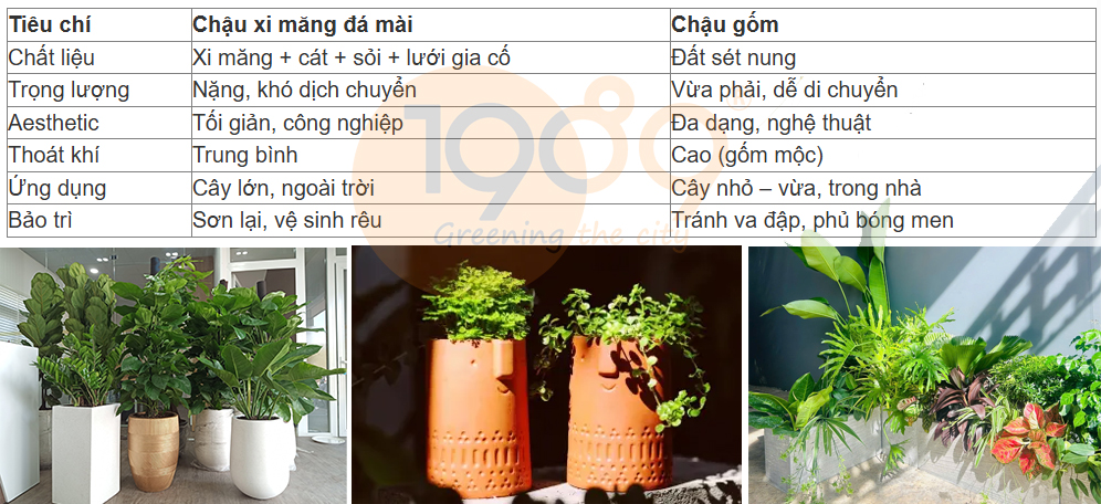 So sánh chậu xi măng và chậu gốm: Ai sẽ lên ngôi trong trang trí không gian xanh?