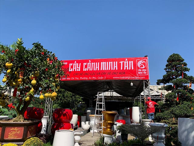 Cây Cảnh Minh Tân 1
