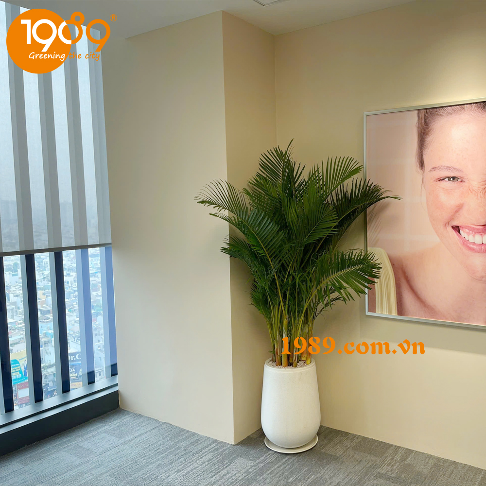 Vẻ Đẹp Chậu Xi Măng Đá Mài: Sự Kết Hợp Giữa Thô Mộc và Tinh Tế Cho Không Gian Sống