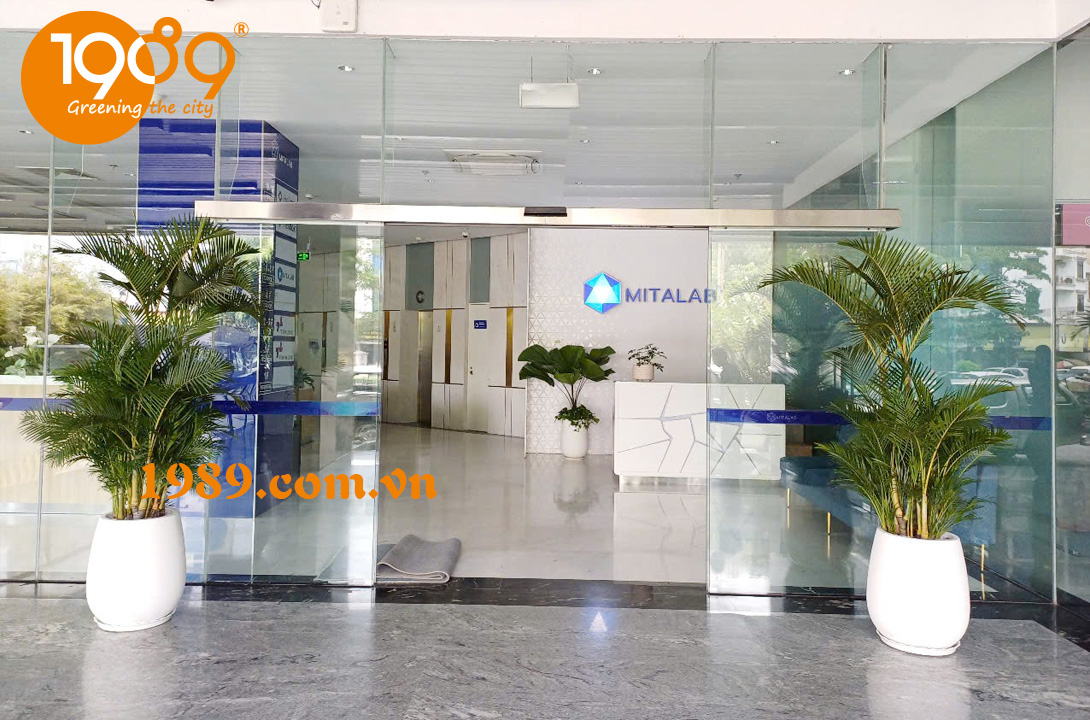 chậu đá mài trồng cây đặt trước sảnh