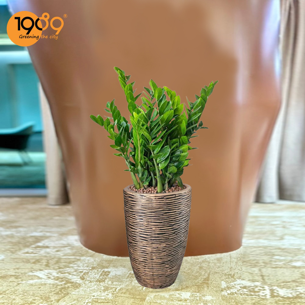 Top 5 Mẫu Chậu Xi Măng Đá Mài Đẹp Free Ship Nội Thành