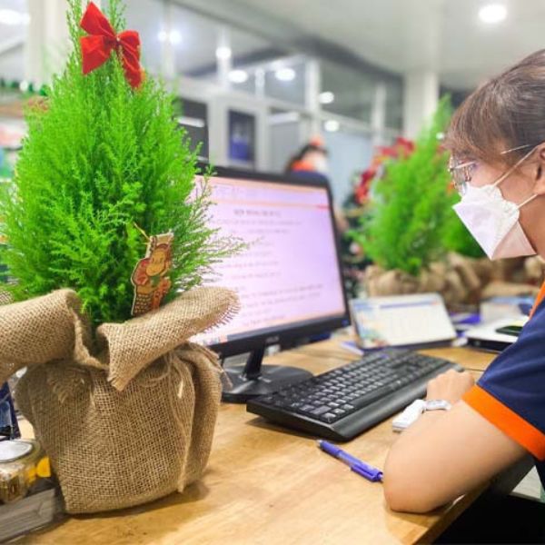 Khám Phá Lợi Ích Cây Xanh Văn Phòng: Bí Quyết Tăng Năng Suất Và Thịnh Vượng