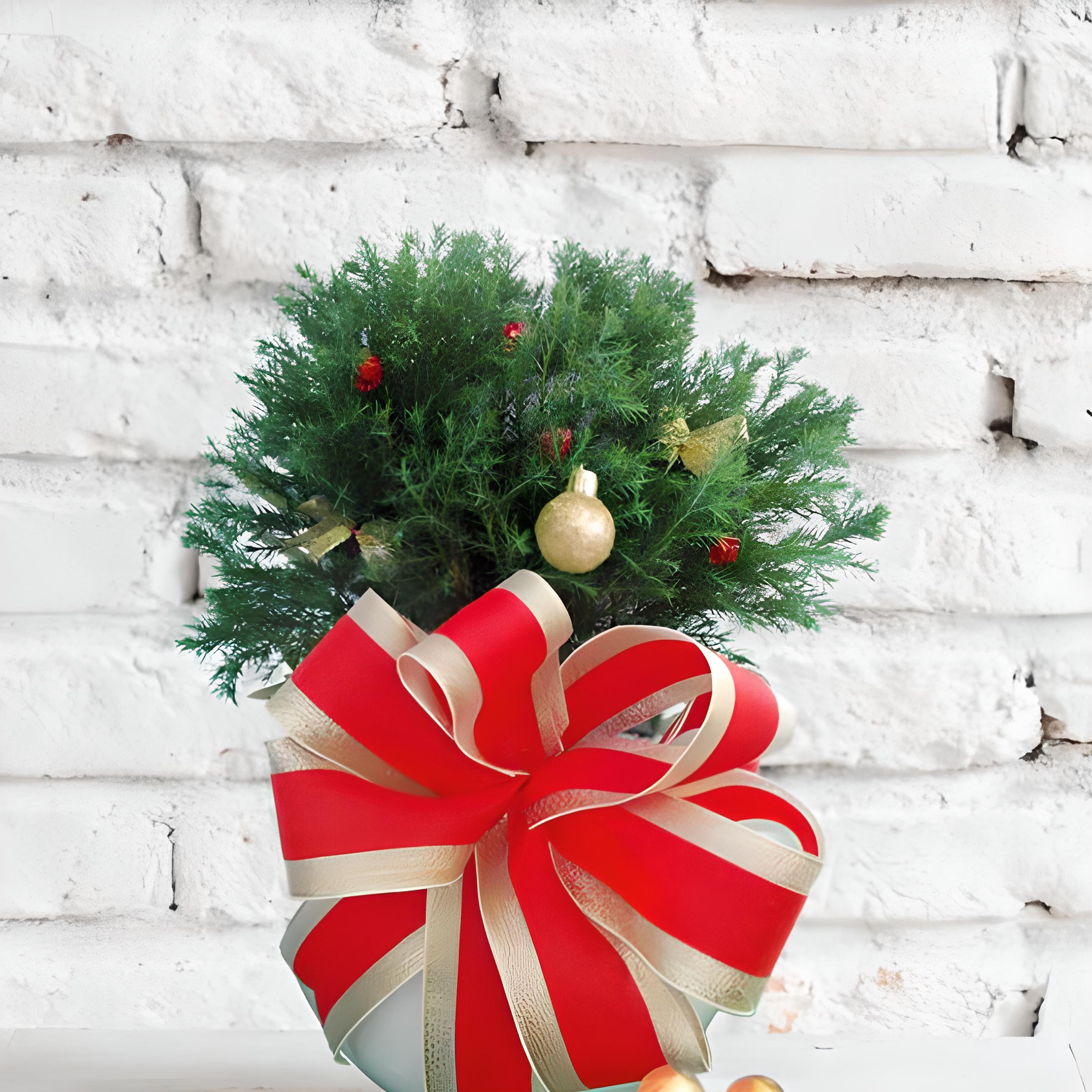 cây noel để bàn