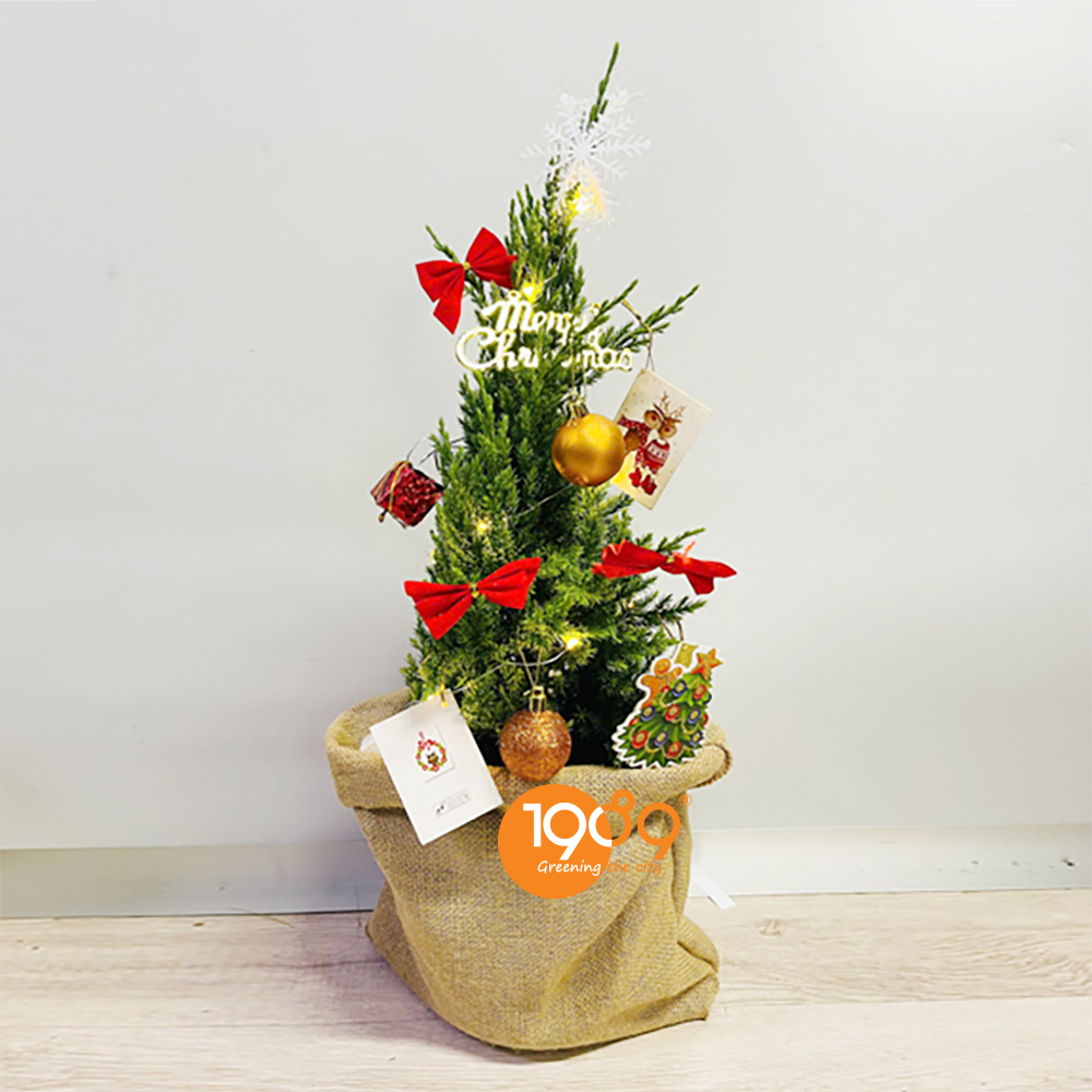 cây sơn tùng noel 279 freeship