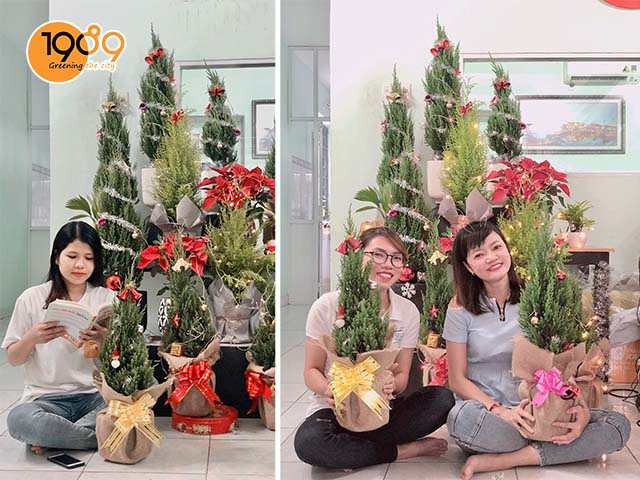 cây sơn tùng trang trí giáng sinh noel hcm 2021