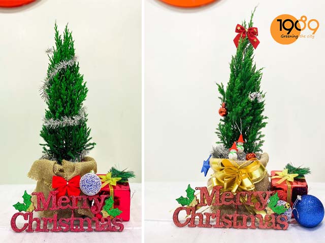 cây sơn tùng trang trí giáng sinh noel hcm