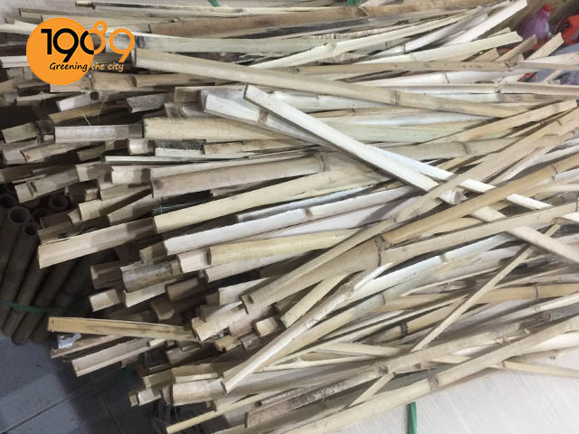 cây tre trúc làm giàn trồng mùng tơi